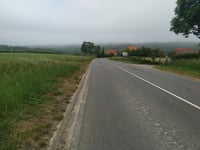 Bois du Coq