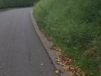 Bois du Moulin