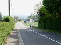 Bois Hennon