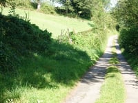 Bois Herman via Grand'Ry Cornesse