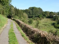 Bois Herman via Grand'Ry Cornesse