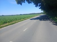 Bois d'Hez from Villers-la-Ville