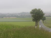 Bois Julien da Samer
