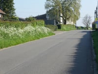 Bois-les-Dames von Andrimont