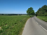 Bois Louvet da Enquin-sur-Baillons