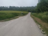 Bois Manse da Saint-Martin-Choquel