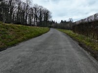 Bois d'Ossogne