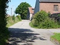 Bois Renard