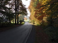 Boisheimer Weg