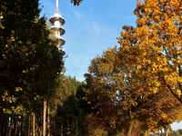 Boisheimer Weg