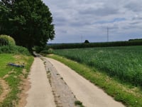 Bollenberg z Broekom