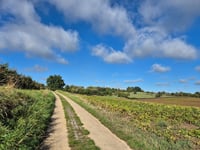 Bollenberg da Groot-Loon