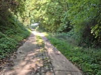 Bollenberg da Groot-Loon