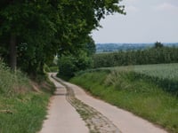 Bollenberg da Groot-Loon