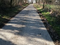Bollenberg über Kwade Schuur