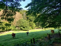 Bölling via Nimmertal
