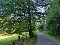 Bölling via Nimmertal