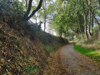 Bongarzsteg von Rheurdt
