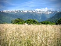 Bonvillard desde Aiton
