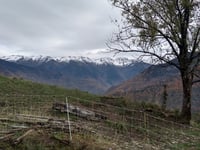 Bonvillard von Aiton