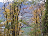 Bonvillard von Aiton