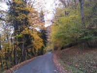 Bonvillard von Aiton