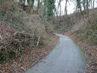 Boompjesweg from Oirsbeek