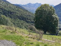 Ris da Bordères Louron