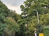 Bosberg