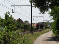 Bosbergen z Herentals