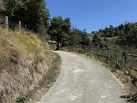 Salita 'Charly Gaul' von Campetto