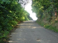 Boschweg / Heekerbosch
