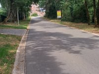Bosdel über Hondeskuilstraat