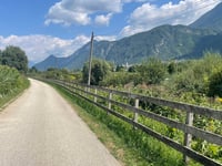 Bosentino from Mattarello