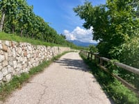 Bosentino von Mattarello