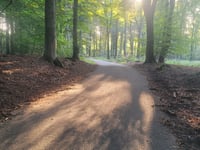 Boshuisweg von Gortel