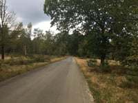 Boshuisweg von Gortel