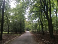 Boshuisweg von Gortel