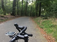 Boshuisweg von Gortel