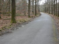 Boshuisweg von Gortel