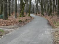 Boshuisweg von Gortel