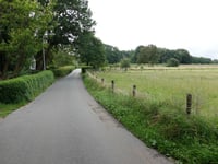 Bosrandweg