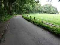 Bosrandweg
