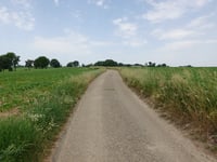 Bosschenhuizen über Putsweggerveldweg