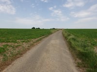 Bosschenhuizen über Putsweggerveldweg