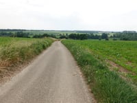 Bosschenhuizen über Putsweggerveldweg