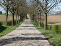 Bosselaar von Kleine-Spouwen