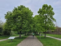Bosselaar von Kleine-Spouwen