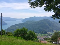 Bossico z Sovere