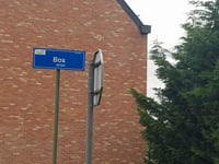 Bosstraat von Boom